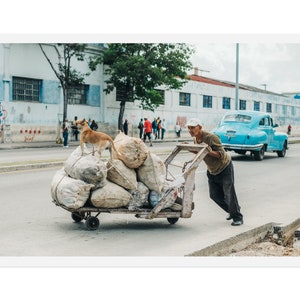 Cuba Photography, Havana Decor, Wall Art, Working Man with Dog Helper, Fine Art Photography, Havana Streets, Havana Cuba Photo, 8x12 photo
