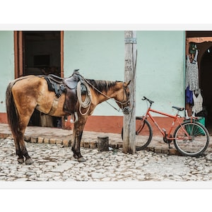 Cuba photography, Cuba travel photography, Cuban decor wall art, Horse on a street, Horse and bicycle, home decor, 8x12 photo