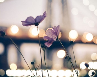 New York Photography - purple flower, Williamsburg Bridge, vintage flow, night lights New York, purple, photo of New York, Williamsburg
