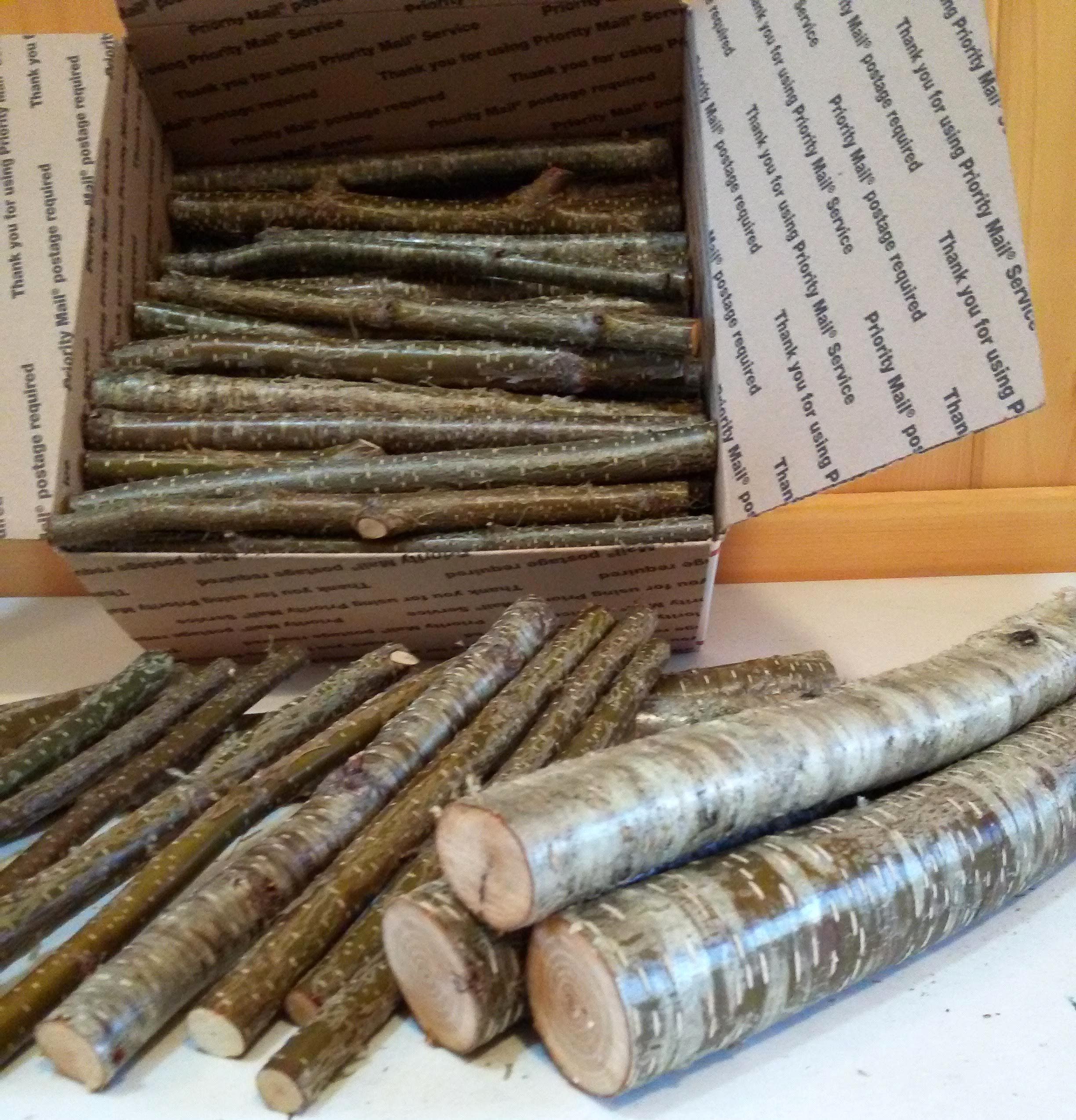 BIRCH STICKS 60 Sticks Hobby Craft Wood School And Art Etsy