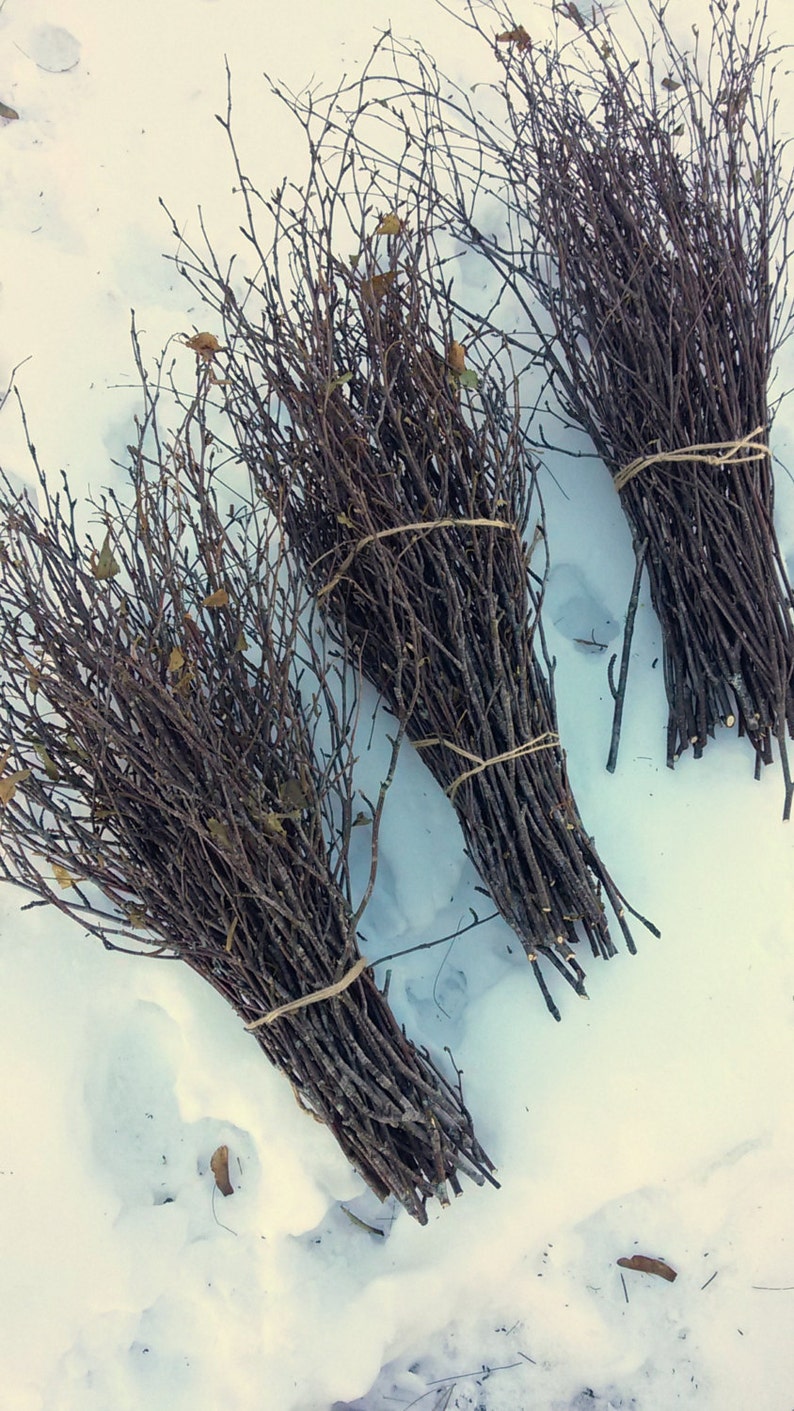BIRCH TWIGS SALE Extra Large White Birch Tree Branch Etsy