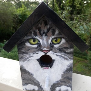 Bird House Hand Painted Custom Gray Tabby Cat Design Wood Outdoor