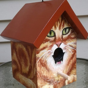 May include: A wooden birdhouse painted with an orange tabby cat design. The birdhouse has a brown roof and a wooden perch. The cat's face is painted on the front, with green eyes and an open mouth.