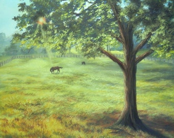 Painting in Pastel- Original Art - Horse in Field, "Morning Light" Landscape- 22" x 20"