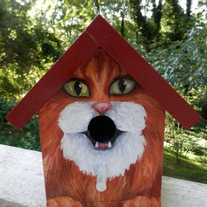May include: A red wooden birdhouse painted to look like a cat's face. The birdhouse has a round opening for birds to enter. The cat's eyes are green, the nose is pink, and the mouth is open with white teeth.