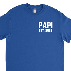 Papi Shirt, Papi Gift, Papi Fathers Day, Fathers Day Gift, Papi 2023 Tee, Gift for Him, Custom Papi Tee