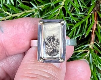 May include: A silver ring with a rectangular setting featuring a dendritic agate stone with a black and white tree-like pattern. The setting is accented with gold.