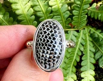 Snakeskin Agate Statement Ring in Sterling Silver with 14k gold details, Black and White Stone Ring