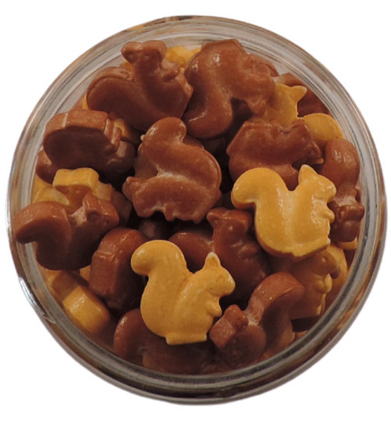 Squirrel Candy Sprinkles Etsy Australia