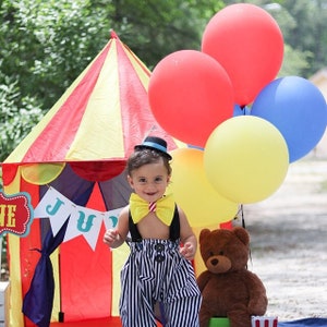 Circus Outfit   Boys   Girls   Clown Costume   4 piece   1st Birthday    Carnival  Circus Birthday  Ask B4 you BUY specific date needed