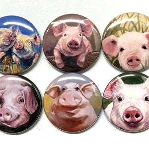 May include: Six round button pins featuring different close-up images of pig faces. The pig faces are painted in a realistic style with varying expressions and backgrounds.