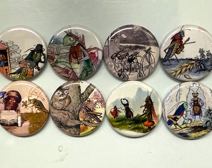 8 Grasshopper fridge magnets SET 1 with vintage pictures of grasshoppers 1.5 inch