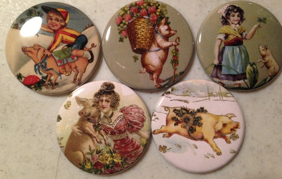 5 Pig Fridge magnets or pinbacks SET 4 w/Vintage pictures Pigs, hogs, 1.5 inch