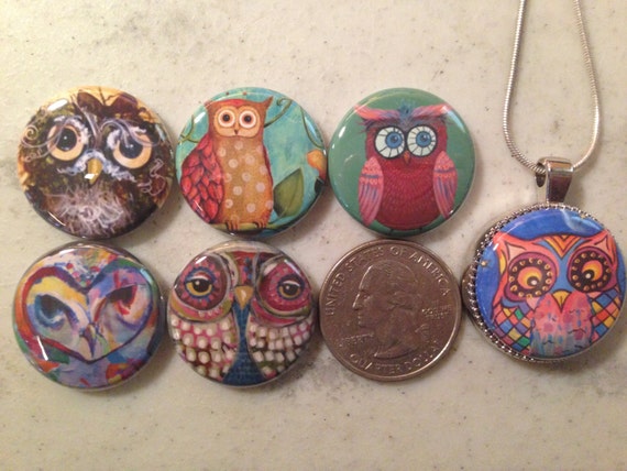 6 owls, hoot owls flatback buttons and 1 Magnetic Interchangeable pendant and chain Set 1