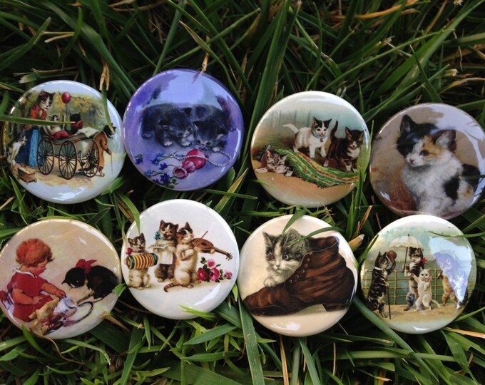 8 Kitten Fridge magnets or Pinback buttons with vintage pictures of kittens, Cats. Each 1.5 inch in size