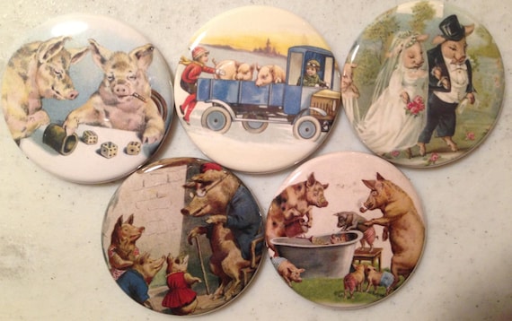5 Pig Fridge magnets or pinbacks SET 2 w/Vintage pictures Pigs, hogs, 1.5 inch