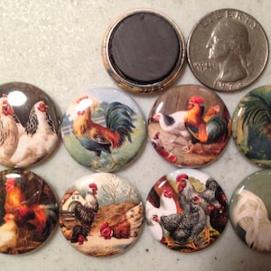 May include: A collection of round magnets featuring rooster and hen illustrations. The magnets have a glossy finish and various backgrounds. A quarter is included for size comparison. The magnets are likely for a refrigerator or a similar surface.