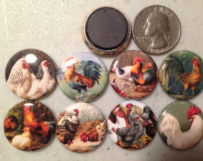 8 Vintage Rooster, Chickens Fridge Magnets, Pinbacks or flatbacks buttons Vintage Pictures Item#1  Many sizes available, you choose!