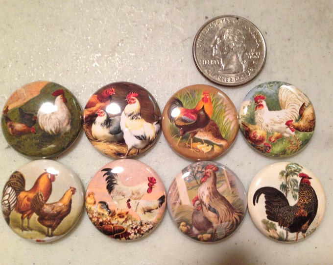 8 Roosters Chickens Fridge Magnets with Vintage pictures 1 inch magnet buttons or pinback buttons