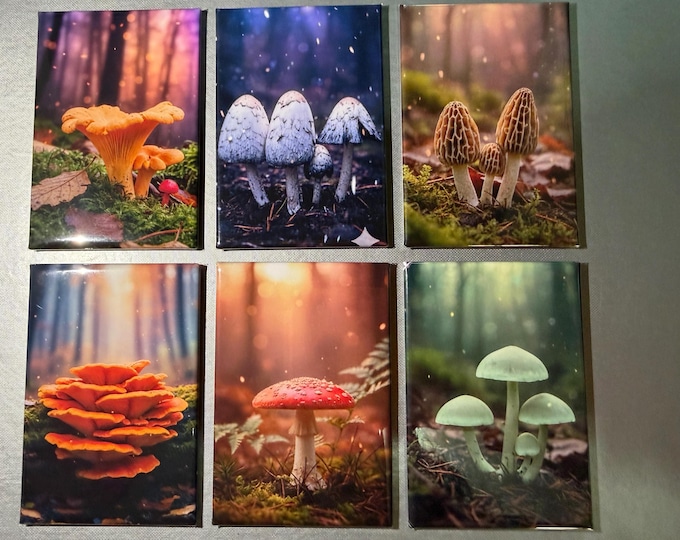Trippy Mushroom magnets sold individually or purchase them all