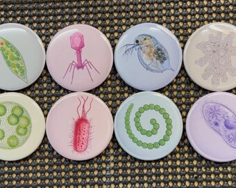 Micro Wonders again?: Colorful Microorganism Button or Magnet Set (Set of 8)