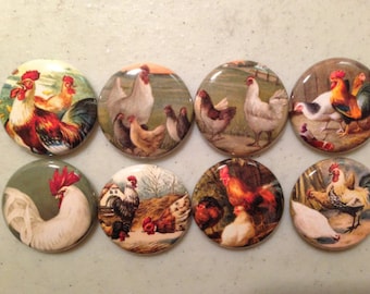 8 Vintage Rooster, Chickens Fridge Magnets, Pinbacks or flatbacks buttons Vintage Pictures Item#3  Many sizes available, you choose!