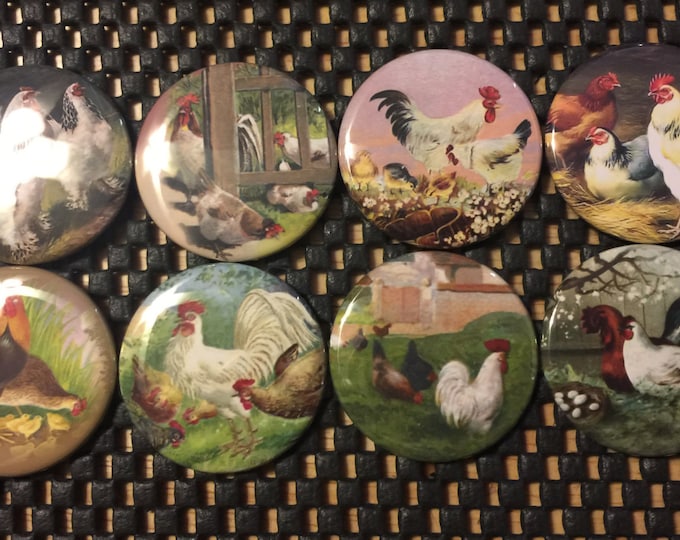 8 Vintage Rooster, Chickens Fridge Magnets, Pinbacks or flatbacks buttons Vintage Pictures SET 2  Many sizes available, you choose!