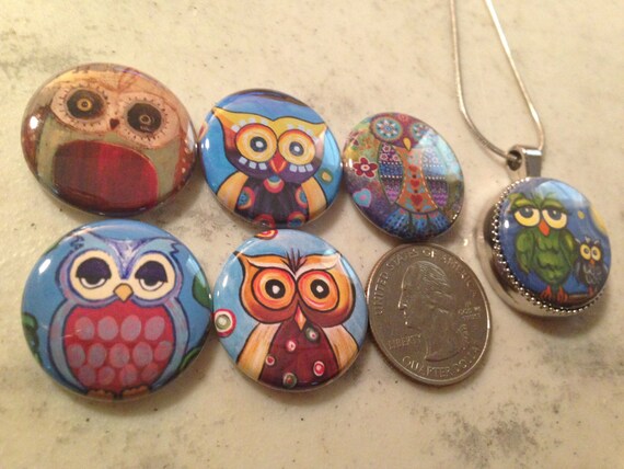 6 owls, hoot owls flatback buttons and 1 Magnetic Interchangeable pendant and chain Set 2