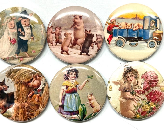 6 Pig Fridge magnets, pinbacks and more.  You choose the style and size at checkout S3