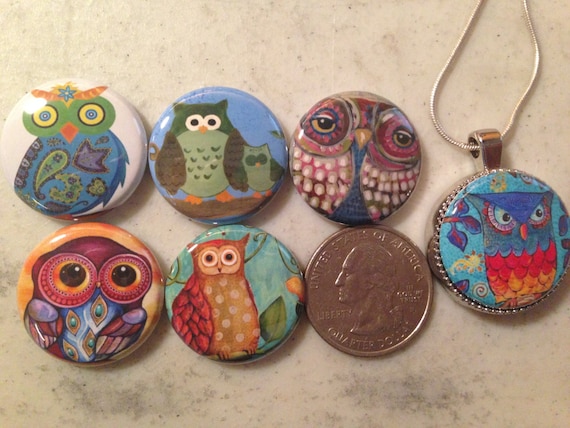 6 owls, hoot owls flatback buttons and 1 Magnetic Interchangeable pendant and chain Set 4
