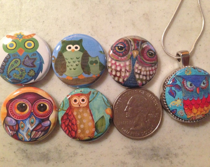 6 owls, hoot owls magnets, pinbacks, flatbacks, keychains, or necklace set. You choose.