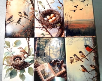 Naturalist, birding, bird watcher magnets sold individually or purchase them all