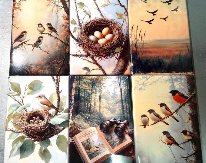 Naturalist, birding, bird watcher magnets sold individually or purchase them all