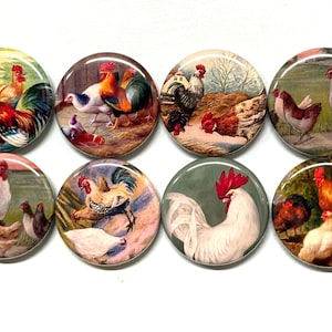 8 Vintage Rooster, Chickens Fridge Magnets, Pinbacks or flatbacks buttons Vintage Pictures Item#3  Many sizes available, you choose!