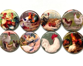 8 Vintage Rooster, Chickens Fridge Magnets, Pinbacks or flatbacks buttons Vintage Pictures Item#3  Many sizes available, you choose!