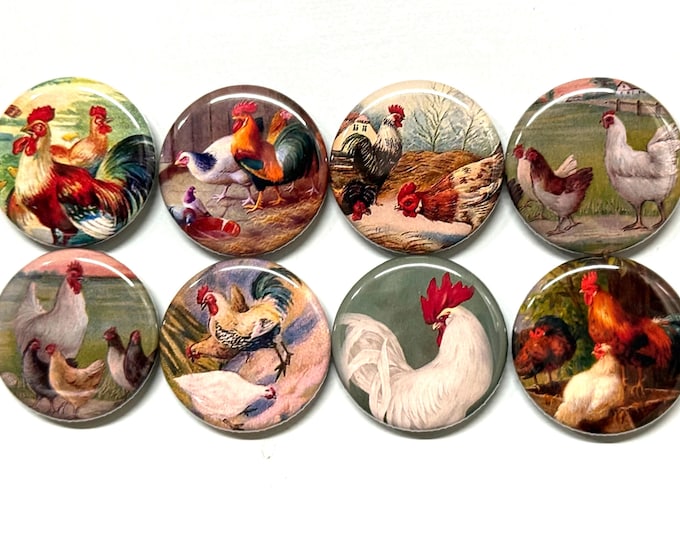 8 Vintage Rooster, Chickens Fridge Magnets, Pinbacks or flatbacks buttons Vintage Pictures Item#3  Many sizes available, you choose!