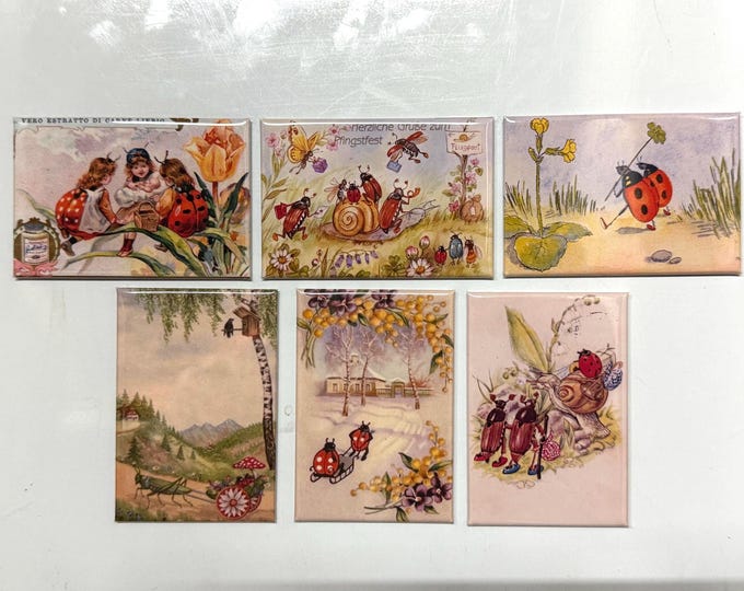 Vintage lady bug magnets 2x3 inch