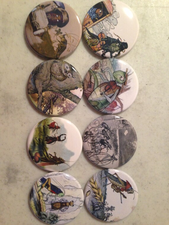 8 Grasshopper fridge magnets SET 1 with vintage pictures of grasshoppers 1.5 inch