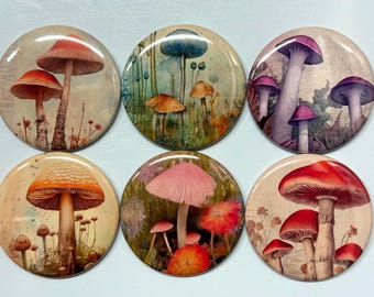 6 Mystical mushrooms pinbacks, flatbacks or magnets Set 1.  Choose your size/style.