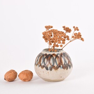 May include: A white ceramic vase with a brown and blue geometric pattern, filled with dried brown flowers. Two walnuts are in the foreground.
