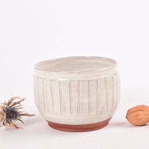 May include: A white ceramic bowl with vertical lines, a brown rim, and a white background.