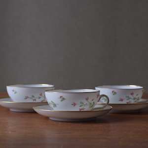 Set of 3! Rare Royal Copenhagen Mocca Cup / Small Teacup & Saucer - Handpainted Flower / Rose Hip Decor - Gold Rim - 84/9066 - Danish 1940s