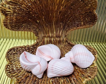Wicker Clamshell and 4 Soaps Vintage Avon New in Box