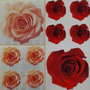 May include: A sheet of stickers featuring red and peach roses. The stickers are perfect for adding a touch of elegance to crafts, journals, and other projects.