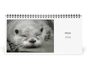 Otter 2026 Desk Calendar 