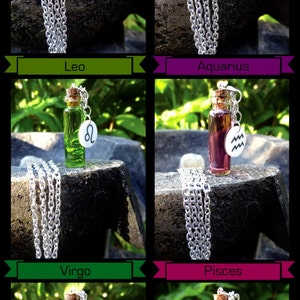 Peut inclure: Un ensemble de 12 colliers du zodiaque, chacun comportant une petite bouteille en verre remplie de liquide color&eacute; et un charme avec le symbole du zodiaque correspondant. Les colliers sont pr&eacute;sent&eacute;s sur une surface de pierre gris fonc&eacute;.
