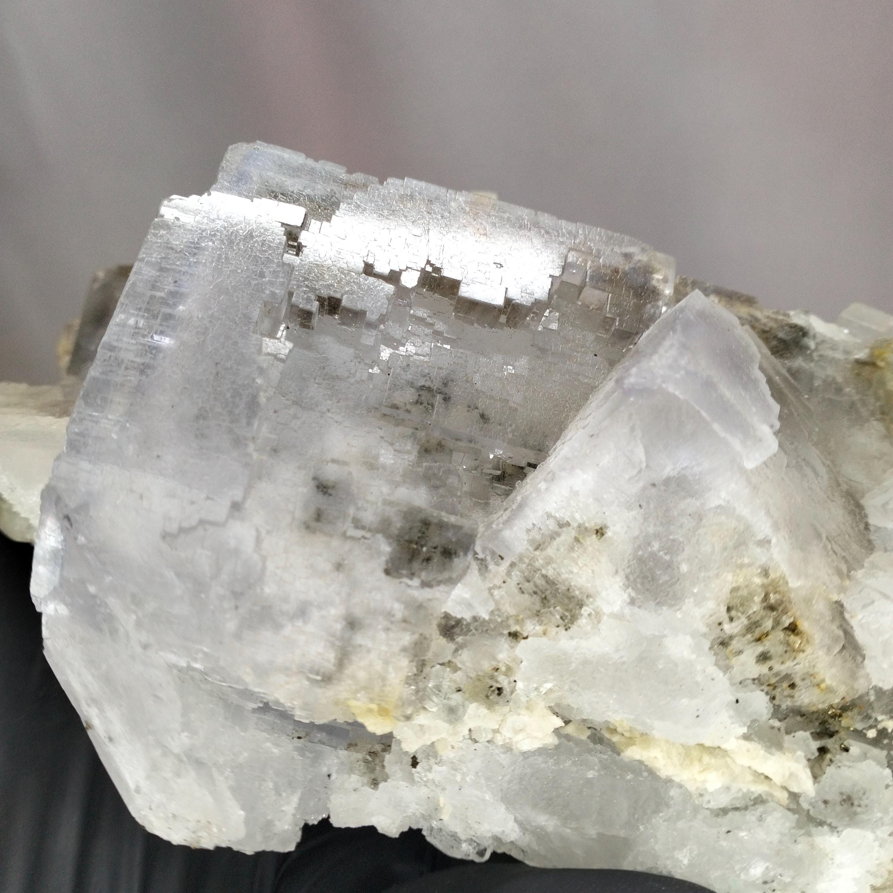 << 再値下げ >> ブルーフローライトスカル 再値下げ >> ブルーフローライトスカル ラ・ヴィエスカ ライトブルー