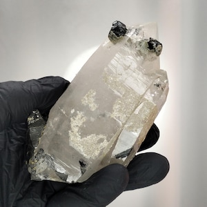 May include: A clear quartz crystal with black tourmaline inclusions and accents. The crystal is held in a gloved hand, showcasing its natural, raw form. The quartz has a translucent appearance with visible internal structures.