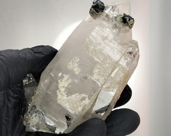 203gr Seltener Wolframit auf Quarz - Panasqueira's metallisches Wunder