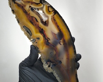 Natürliche Gebänderte Achatscheibe: Polierte Geode, Erdige Töne